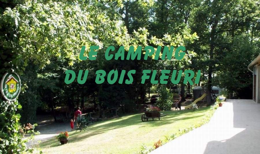 camping en Touraine, location mobil home en Touraine